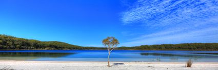 Lake McKenzie - Fraser Island - QLD (PB5D 00 51A1665)